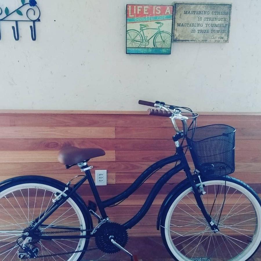 Container Eco Lodge São Francisco de Paula エクステリア 写真